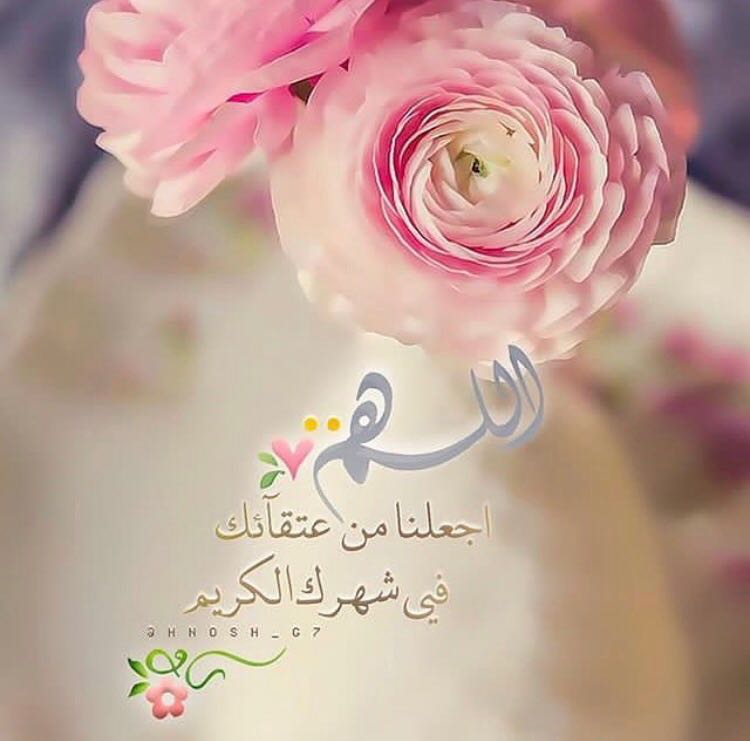 بطاقات الصباح بطاقات الصباح Size:47.24 Kb Dim: 750 x 741 Size: Kb Dim: x