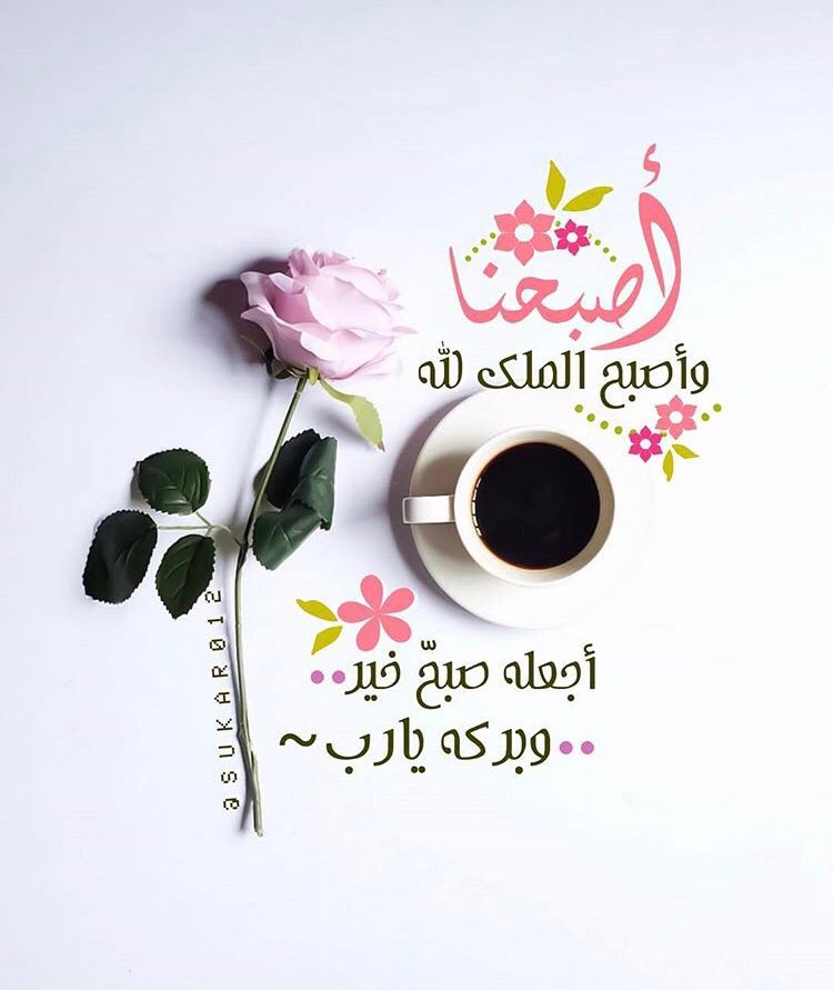 بطاقات الصباح بطاقات الصباح Size:51.04 Kb Dim: 750 x 891 Size: Kb Dim: x