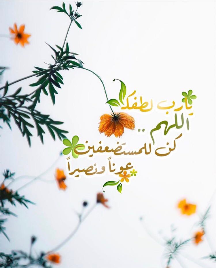 بطاقات الصباح بطاقات الصباح Size:58.83 Kb Dim: 750 x 933 Size: Kb Dim: x