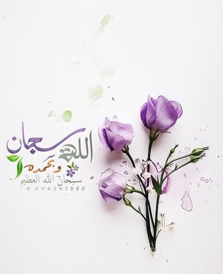 بطاقات الصباح بطاقات الصباح Size:48.90 Kb Dim: 750 x 920 Size: Kb Dim: x