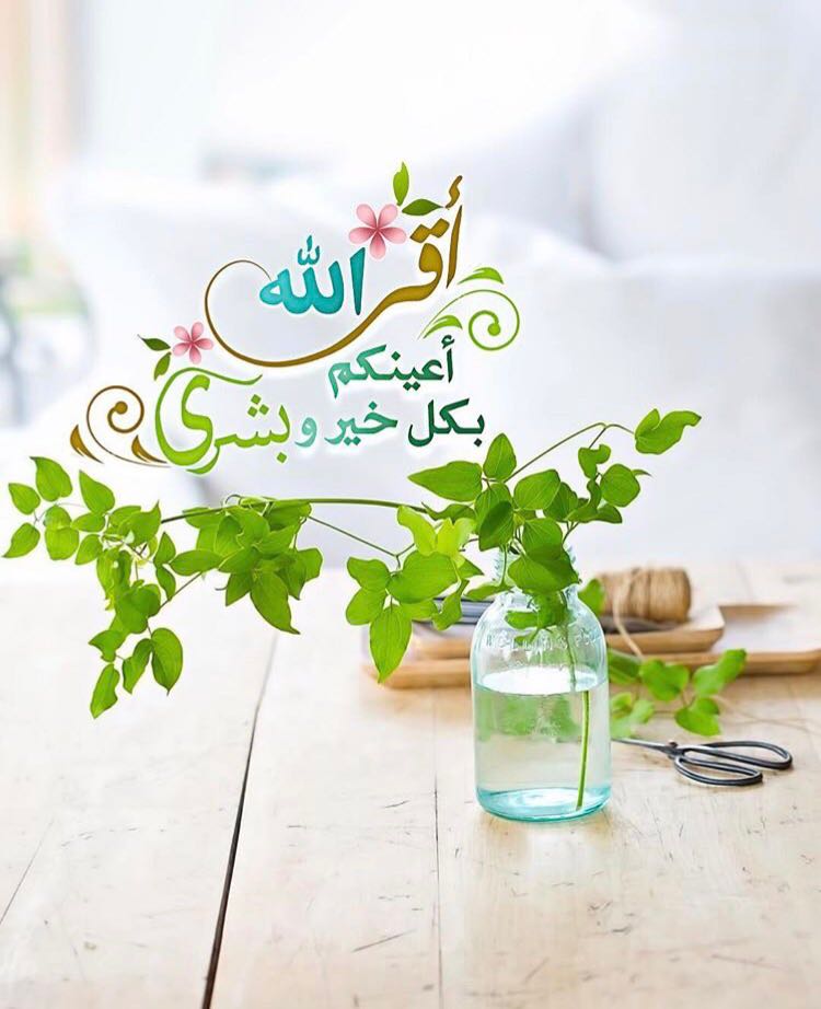 بطاقات الصباح بطاقات الصباح Size:66.48 Kb Dim: 750 x 922 Size: Kb Dim: x