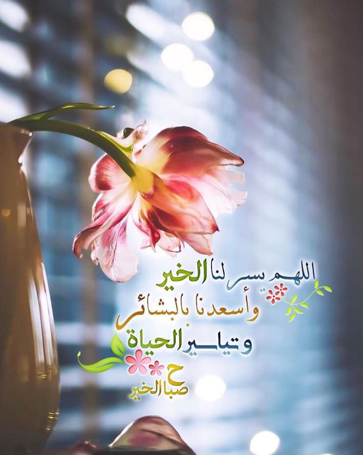 بطاقات الصباح بطاقات الصباح Size:65.86 Kb Dim: 743 x 931 Size: Kb Dim: x