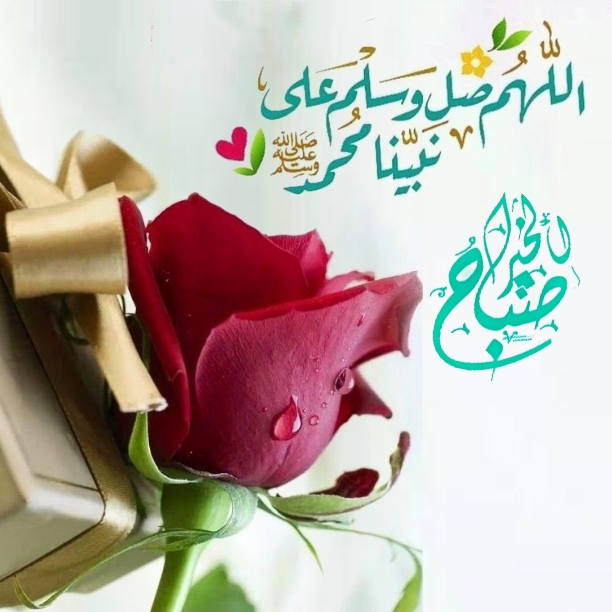 بطاقات الصباح بطاقات الصباح Size:189.18 Kb Dim: 612 x 612 Size: Kb Dim: x
