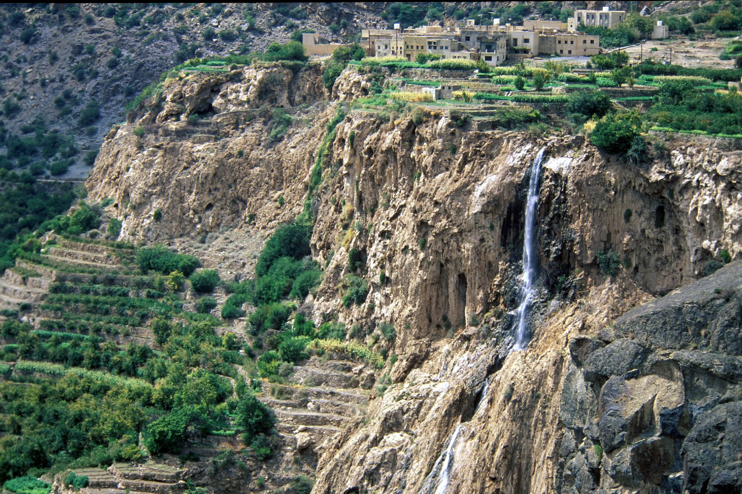 الجبل الأخضر يوجد في