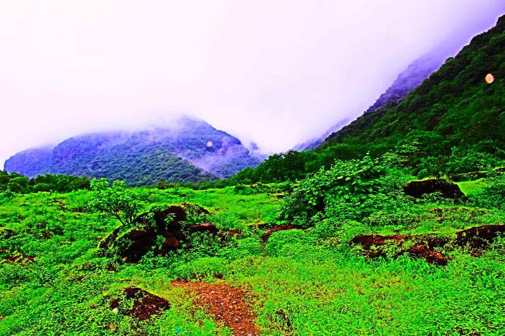 ولاية صلالة عين جرزيز Size:348.70 Kb Dim: 1000 x 666 Size: Kb Dim: x