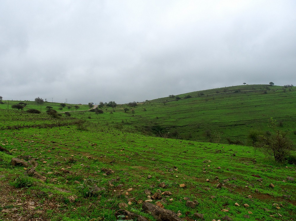 ولاية صلالة نيابة شير Size:302.50 Kb Dim: 999 x 747 Size: Kb Dim: x