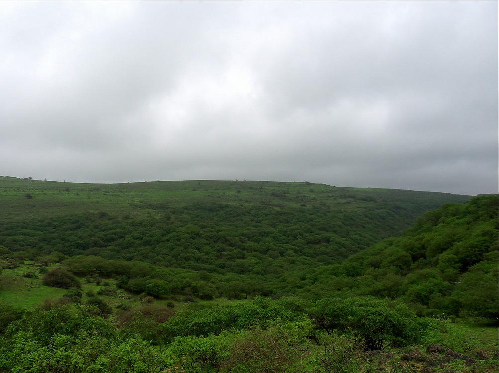 ولاية صلالة نيابة شير Size:228.70 Kb Dim: 1003 x 749 Size: Kb Dim: x