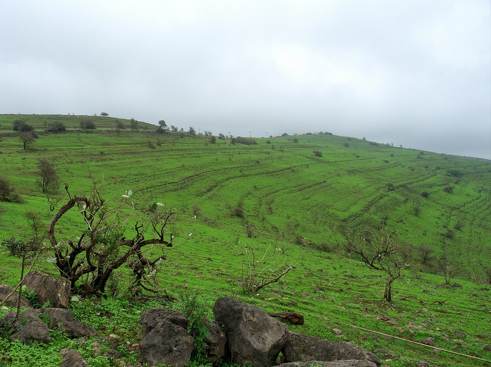 ولاية صلالة نيابة شير Size:332.00 Kb Dim: 999 x 747 Size: Kb Dim: x