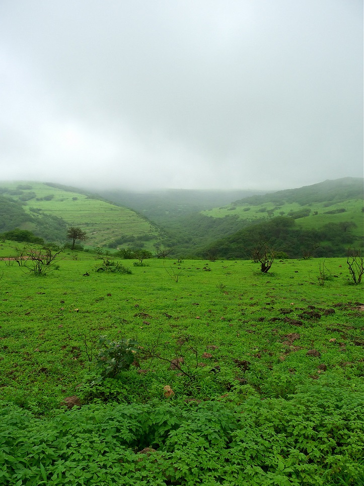 ولاية صلالة نيابة شير Size:297.40 Kb Dim: 723 x 965 Size: Kb Dim: x
