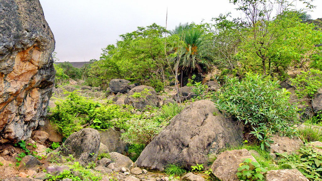 ولاية صلالة عين آيشات Size:383.40 Kb Dim: 1024 x 576 Size: Kb Dim: x