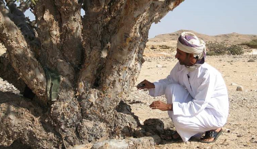 ولاية صلالة اللبان العماني Size:252.20 Kb Dim: 1035 x 600 Size: Kb Dim: x