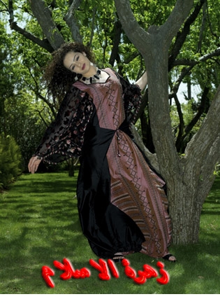 فساتين سهرات جلبيات عراقية4 Size:133.00 Kb Dim: 315 x 437 Size: Kb Dim: x