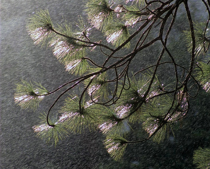 [FONT=][\/FONT] [FONT=][\/FONT] [FONT=][\/FONT] [FONT=][\/FONT] [FONT=][\/FONT] [FONT=][\/FONT] [FONT=][\/FONT] [FONT=][\/FONT] [FONT=][\/FONT] ���