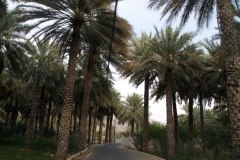 وادي تنوف