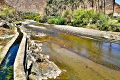بلدة الوقبة