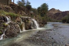بلدة الوقبة