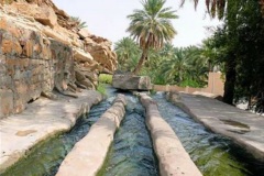 فلج-الخطمين-ببركة-الموز