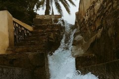 فلج-الخطمين-بركة-الموز