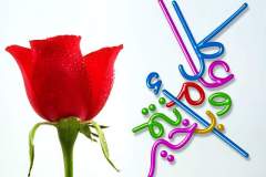 بطاقات شهر رمضان11