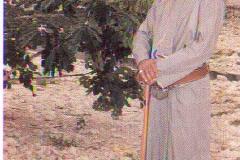 السلطان قابوس بن سعيد