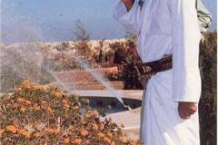 صور لجلالة السلطان قابوس5
