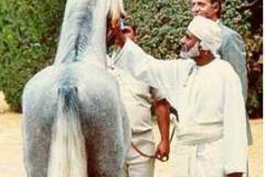 صور لجلالة السلطان قابوس10