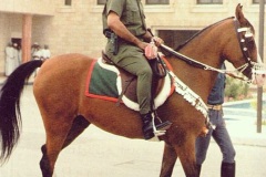 السلطان قابوس Sultan Qaboos