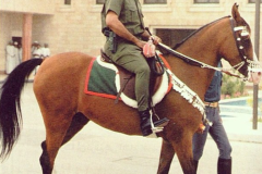 السلطان قابوس Sultan Qaboos