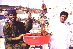 صيد الشارخة