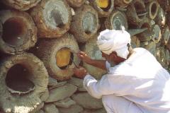 تربية النحل