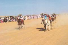 سباق الخيول