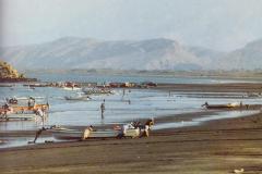 صيد الأسماك