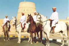 ركوب الخيل