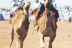 سباق الجمال