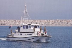 الجيش والدفاع