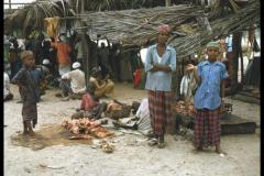 التاريخ العريق1