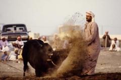 التاريخ العريق4