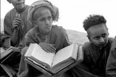 التاريخ العريق1