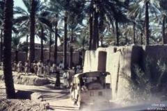 التاريخ العريق6