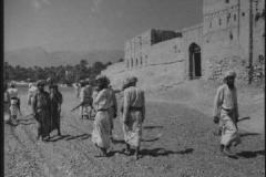 التاريخ العريق8