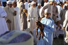 التاريخ العريق11