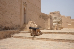 التاريخ العريق6