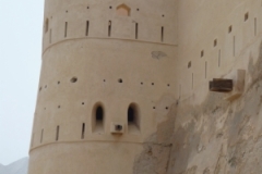 التاريخ العريق8