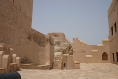 التاريخ العريق11