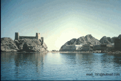 التاريخ العريق2