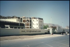 التاريخ العريق3