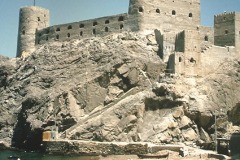 التاريخ العريق5