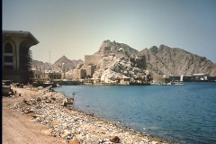 التاريخ العريق6