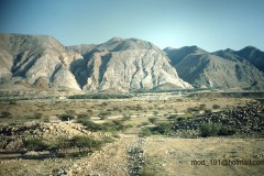 التاريخ العريق7