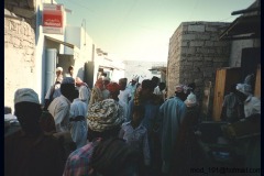 التاريخ العريق3